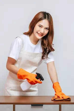 Luxe Clean Cleaning Services